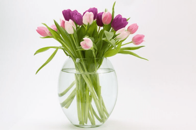 Tulip Tundra Vase